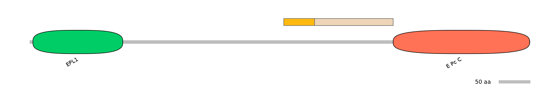 DreINT0063550-EXC