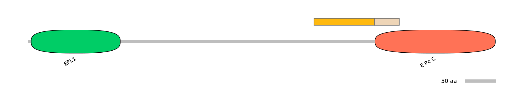DreINT0063565-EXC