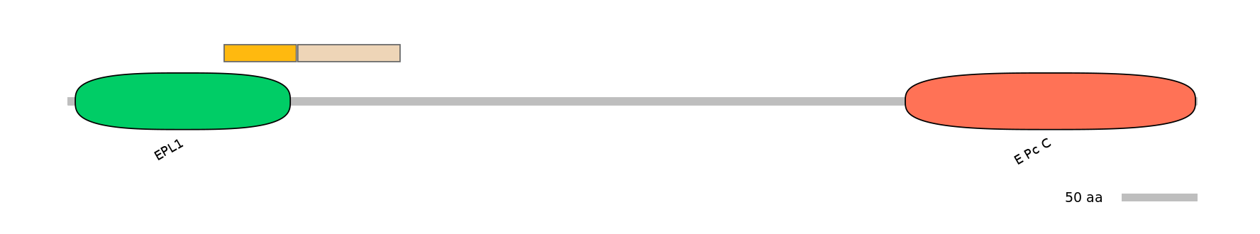 DreINT0063570-EXC