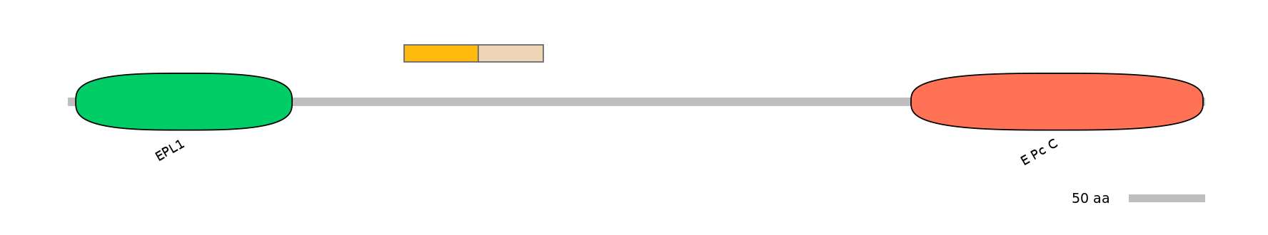 DreINT0063572-EXC