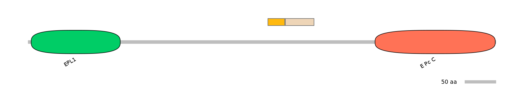 DreINT0063575-EXC