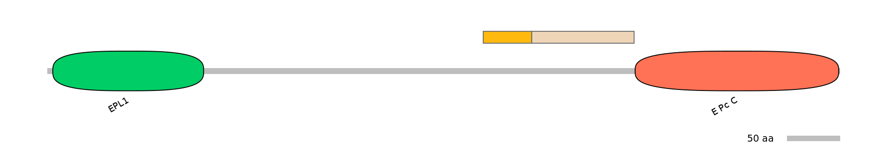 DreINT0063576-EXC