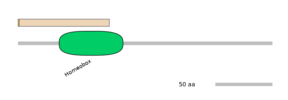 DreINT0065041-EXC