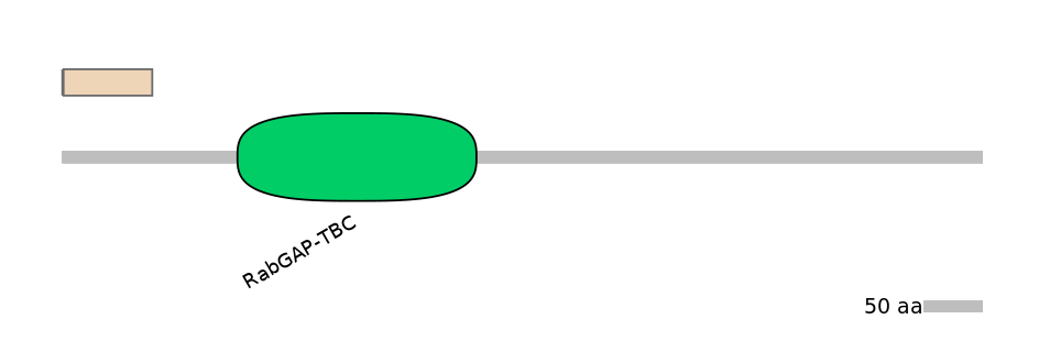 DreINT0065067-EXC