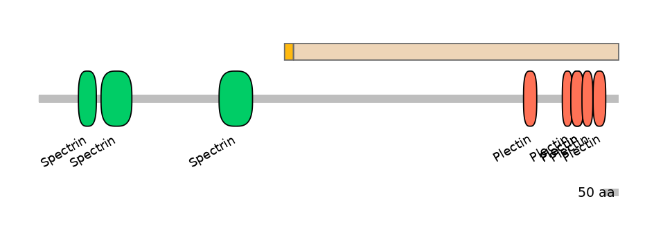 DreINT0065102-EXC