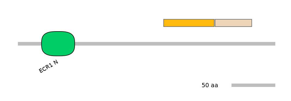 DreINT0065407-EXC