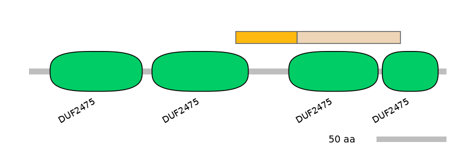 DreINT0066284-EXC