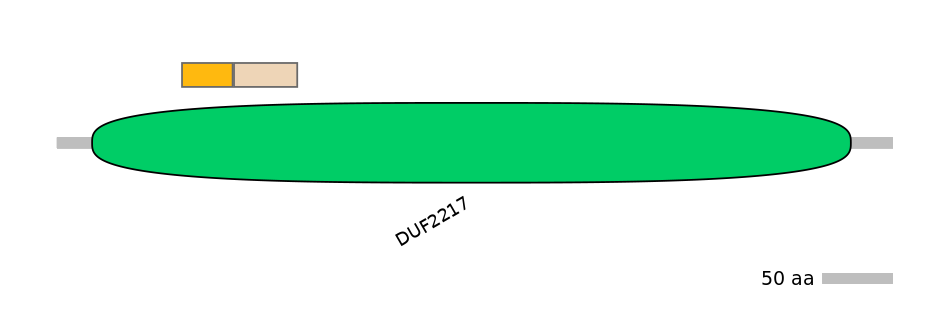 DreINT0066858-EXC