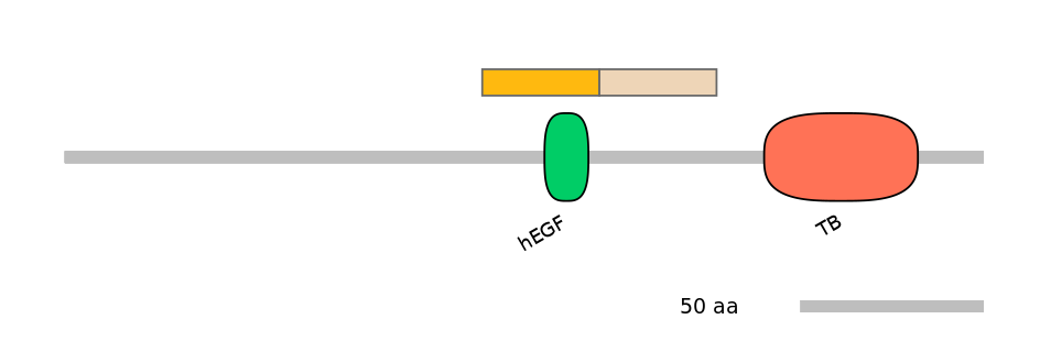 DreINT0067452-EXC