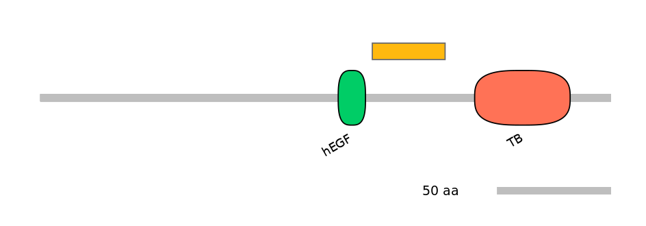 DreINT0067453-EXC