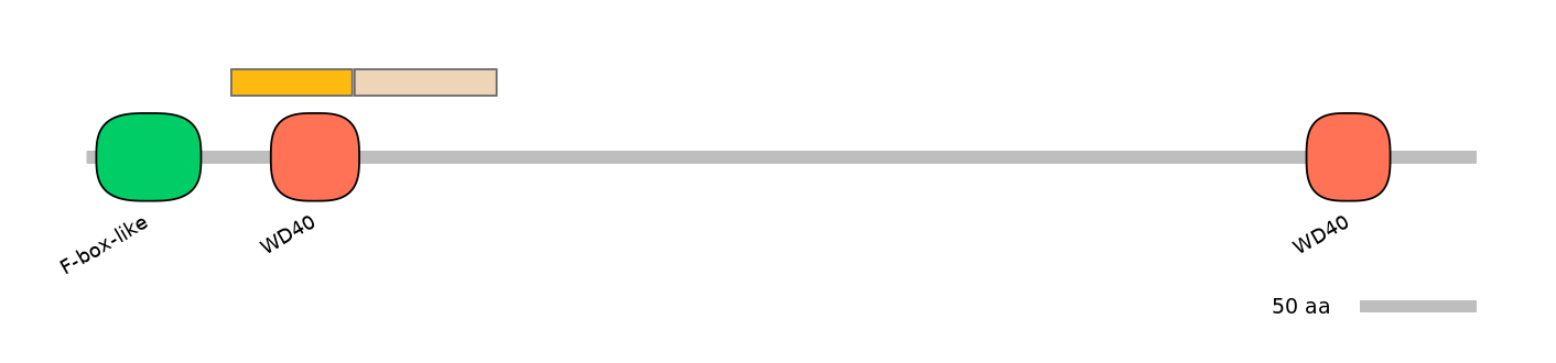 DreINT0067823-EXC