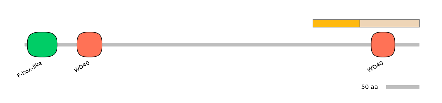 DreINT0067829-EXC