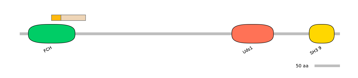 DreINT0069230-EXC