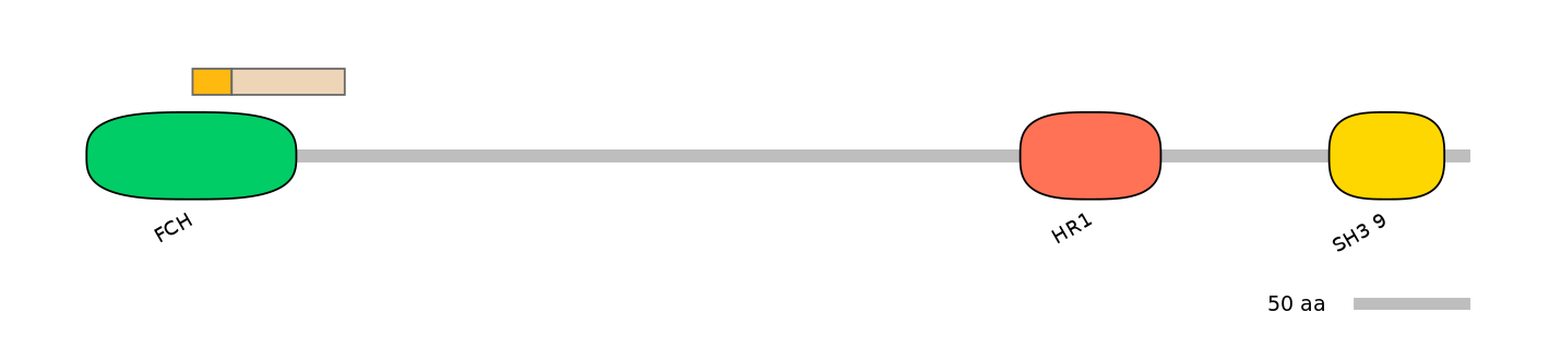 DreINT0069252-EXC