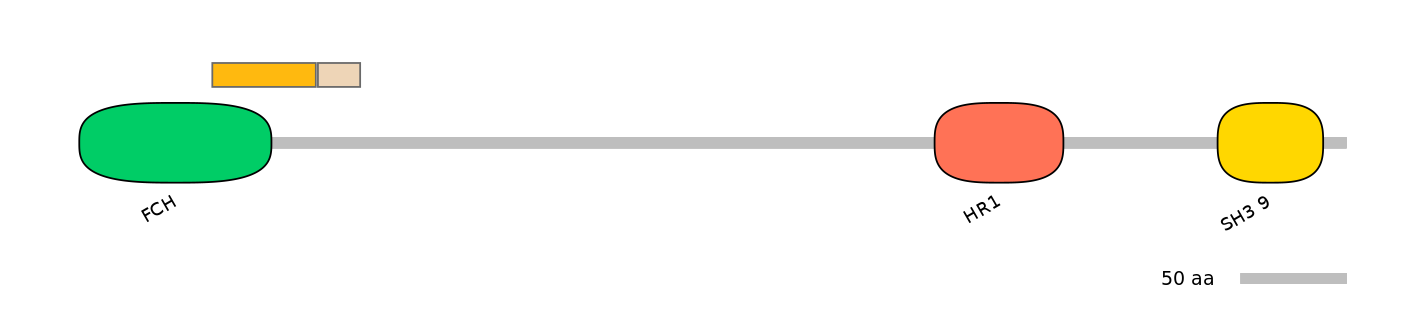 DreINT0069253-EXC