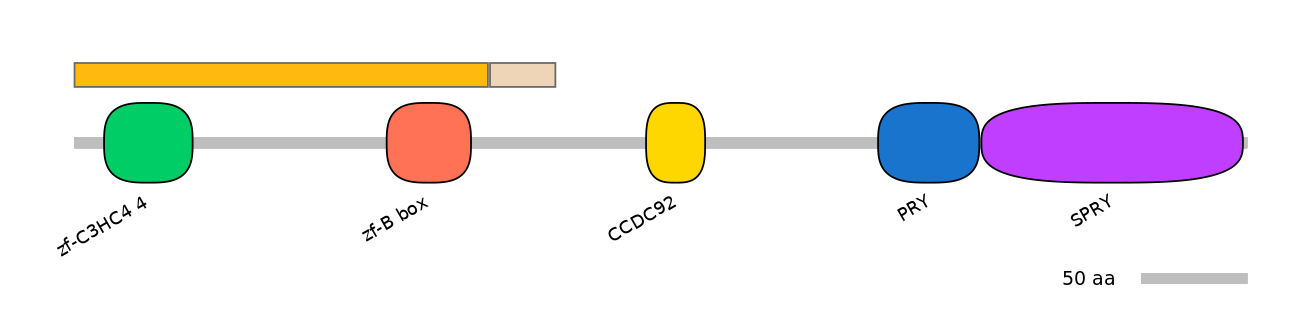 DreINT0070380-EXC