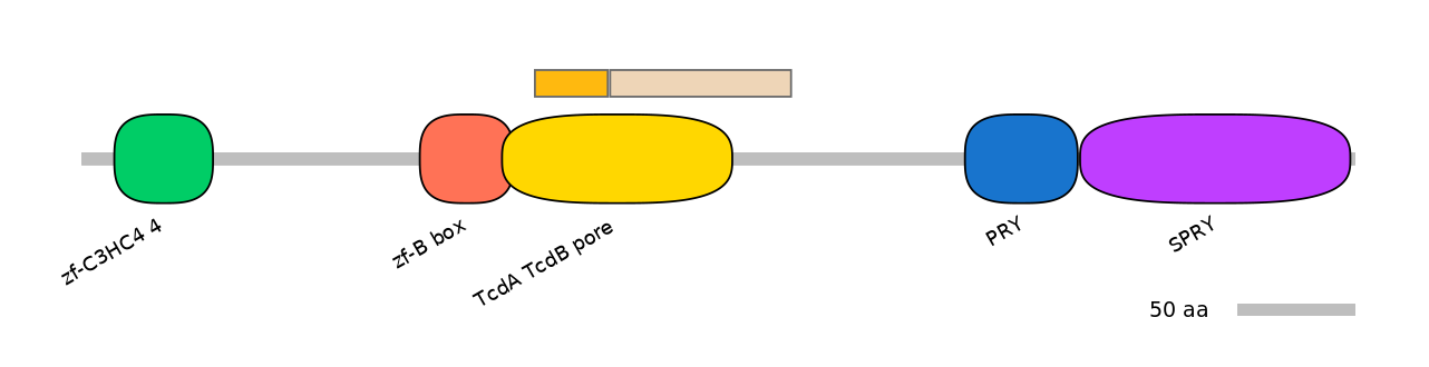 DreINT0070442-EXC