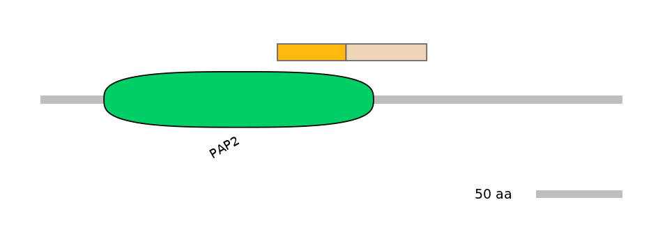 DreINT0070774-EXC