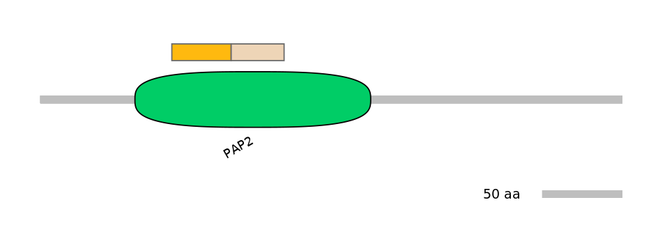 DreINT0070787-EXC