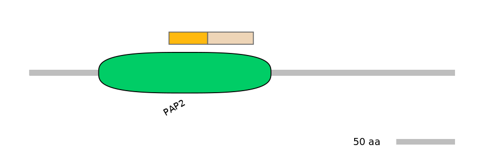 DreINT0070788-EXC