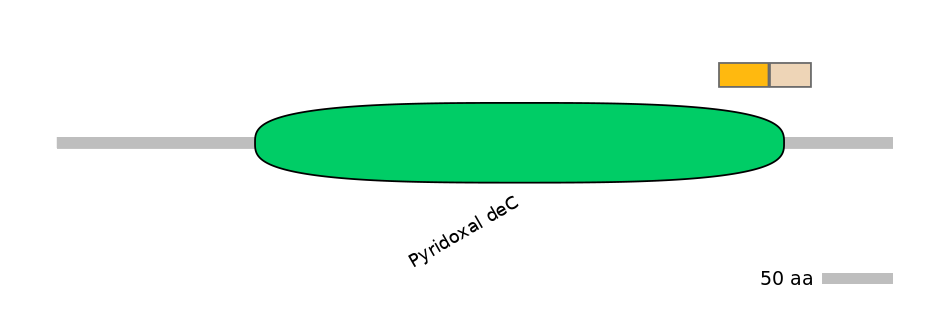 DreINT0071012-EXC