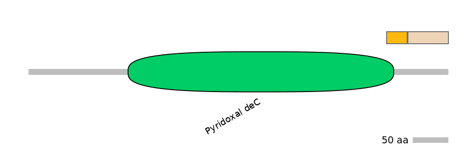 DreINT0071013-EXC