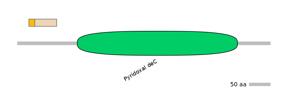 DreINT0071014-EXC