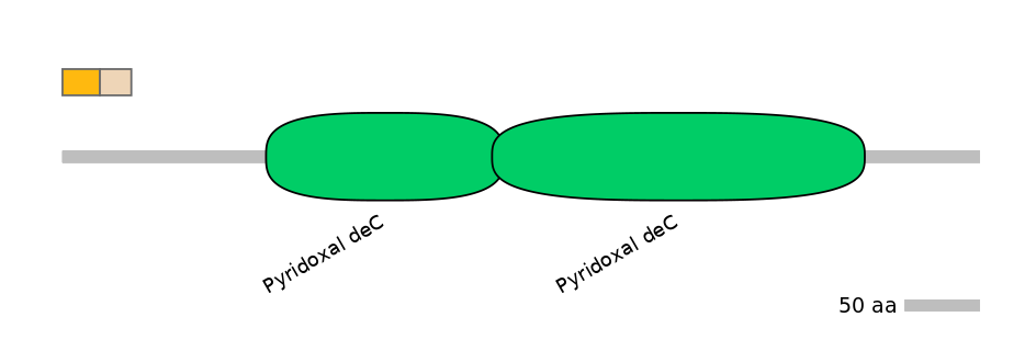 DreINT0071030-EXC