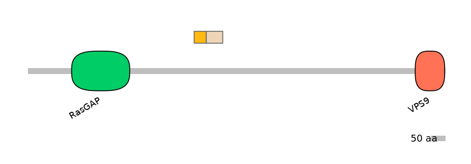 DreINT0071414-EXC