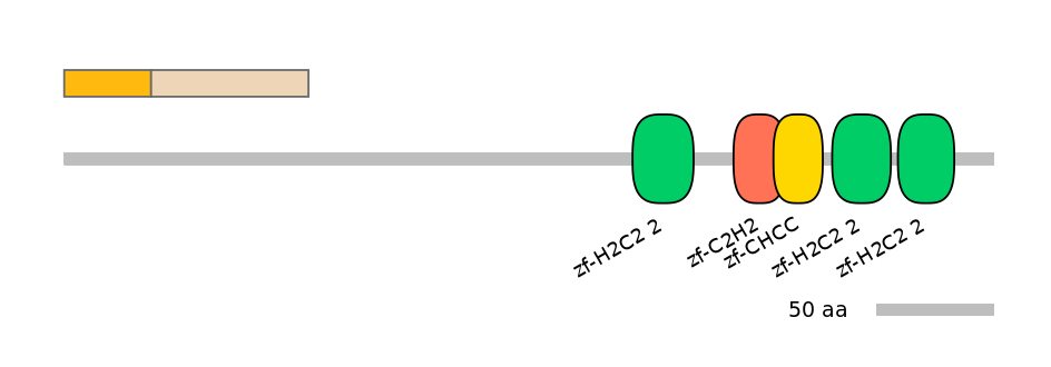 DreINT0072243-EXC