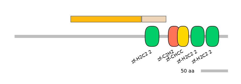 DreINT0072245-EXC