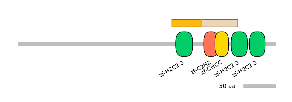 DreINT0072246-EXC