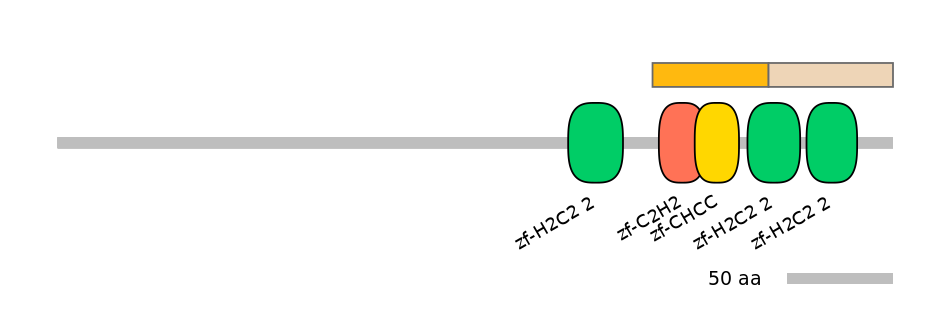 DreINT0072247-EXC