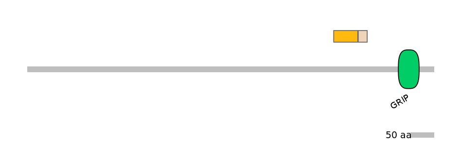 DreINT0073760-EXC