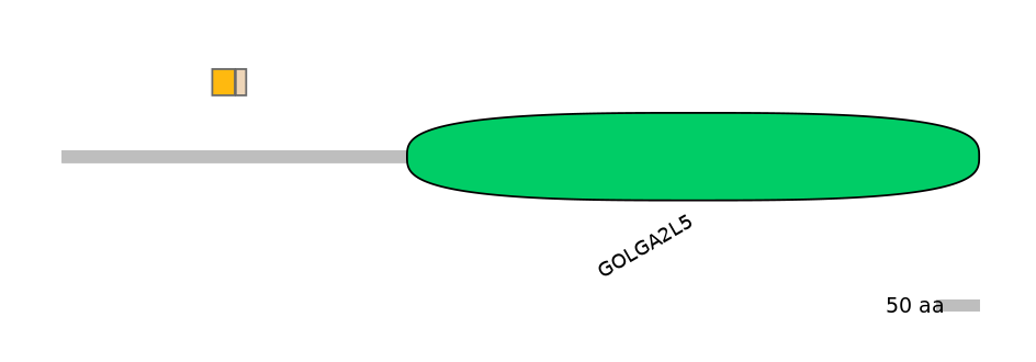 DreINT0073792-EXC