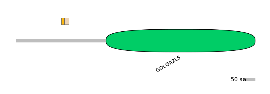 DreINT0073793-EXC