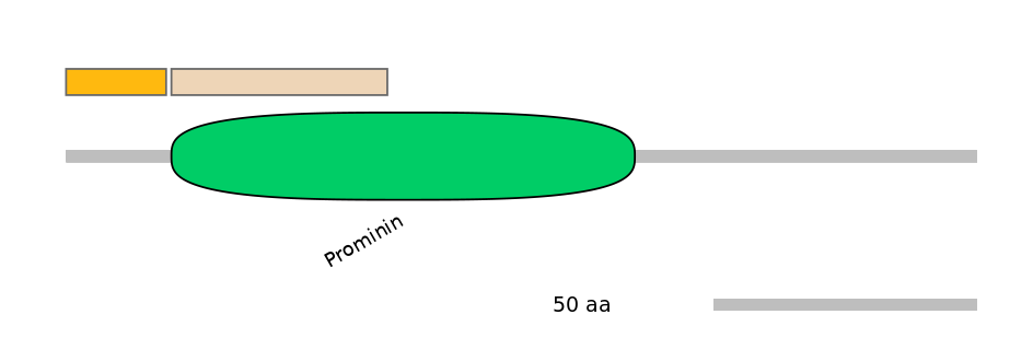 DreINT0073858-EXC