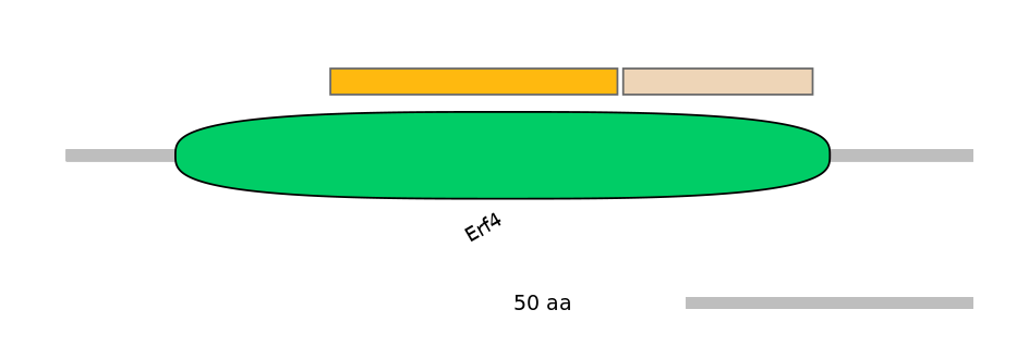 DreINT0073864-EXC