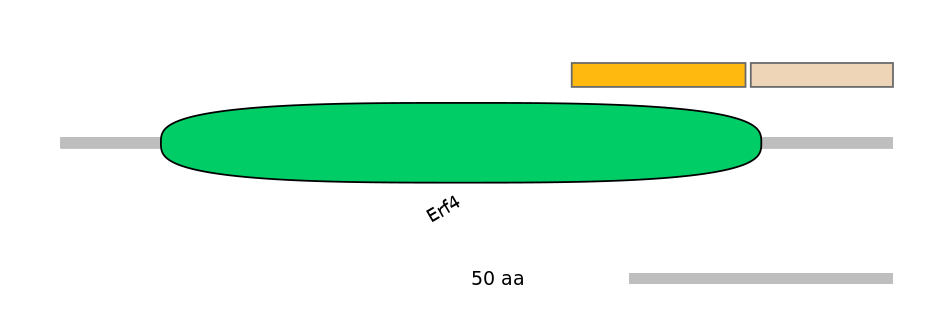DreINT0073865-EXC