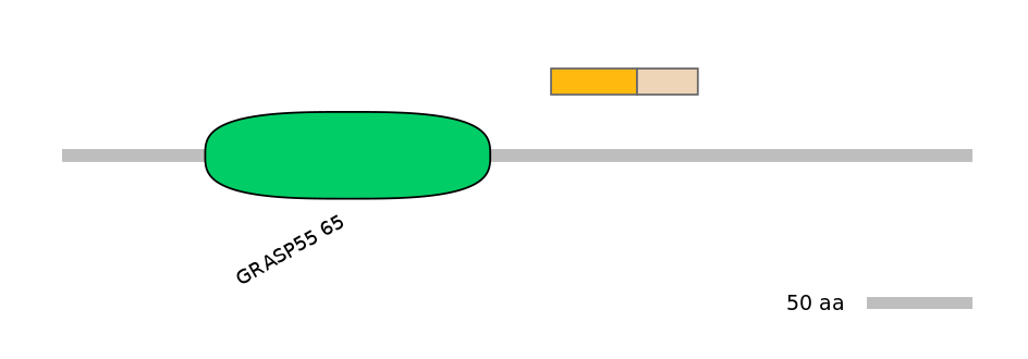 DreINT0073964-EXC