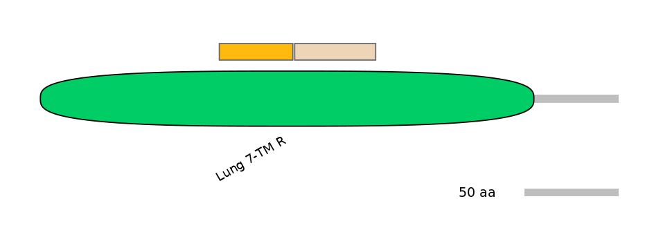 DreINT0074395-EXC