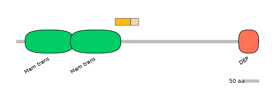 DreINT0074432-EXC