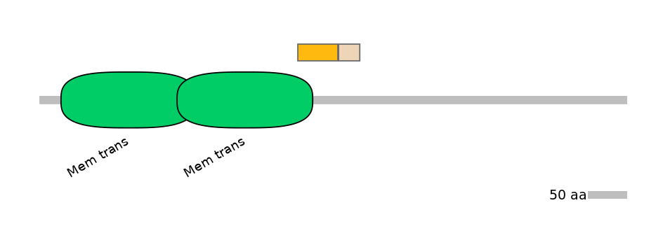 DreINT0074449-EXC