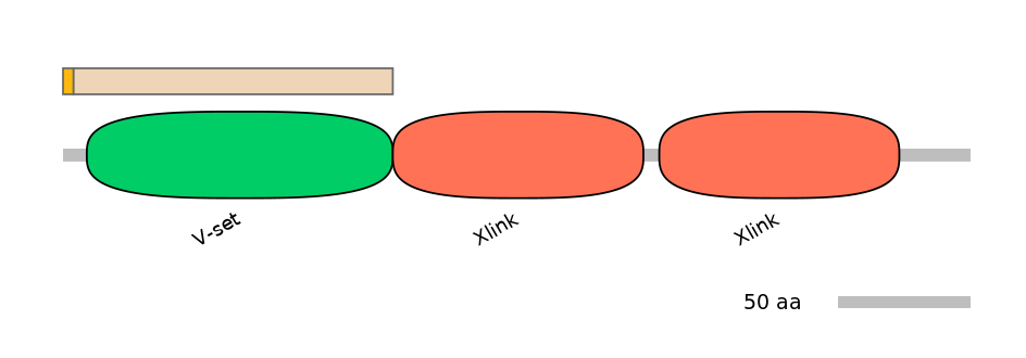 DreINT0076426-EXC