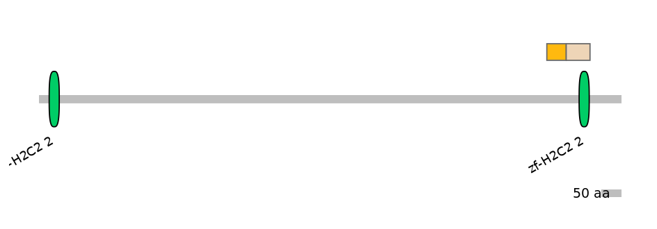 DreINT0078048-EXC