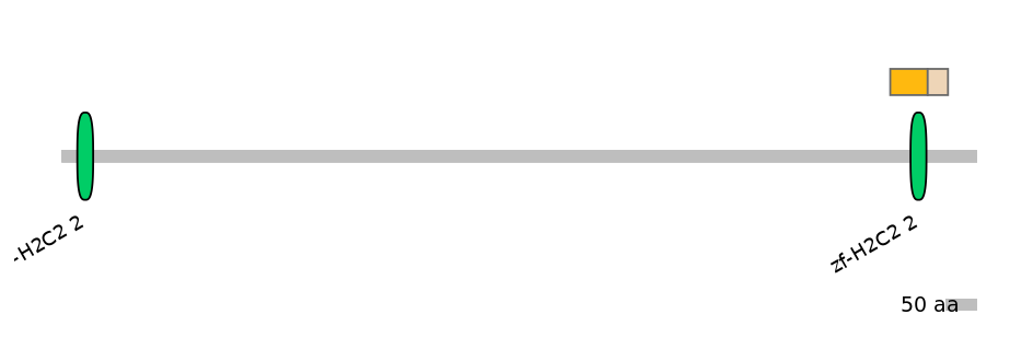 DreINT0078049-EXC
