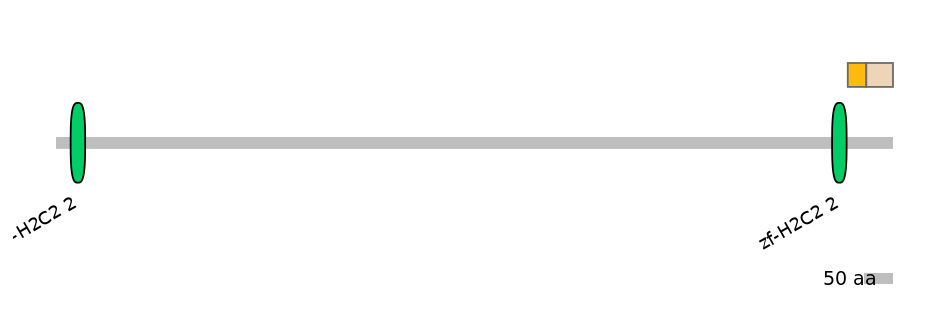 DreINT0078050-EXC