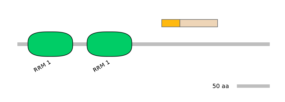 DreINT0078583-EXC