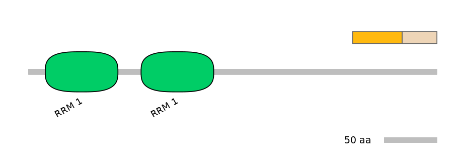 DreINT0078585-EXC