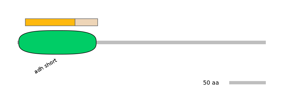 DreINT0079149-EXC